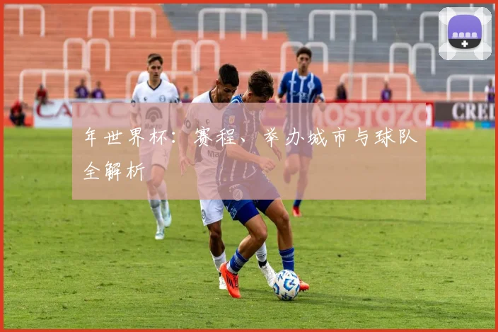 年世界杯：赛程、举办城市与球队全解析