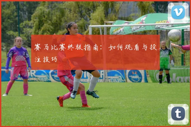 赛马比赛终极指南：如何观看与投注技巧
