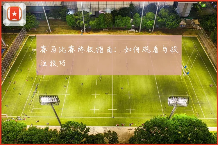 赛马比赛终极指南：如何观看与投注技巧