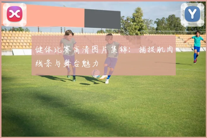 健体比赛高清图片集锦：捕捉肌肉线条与舞台魅力